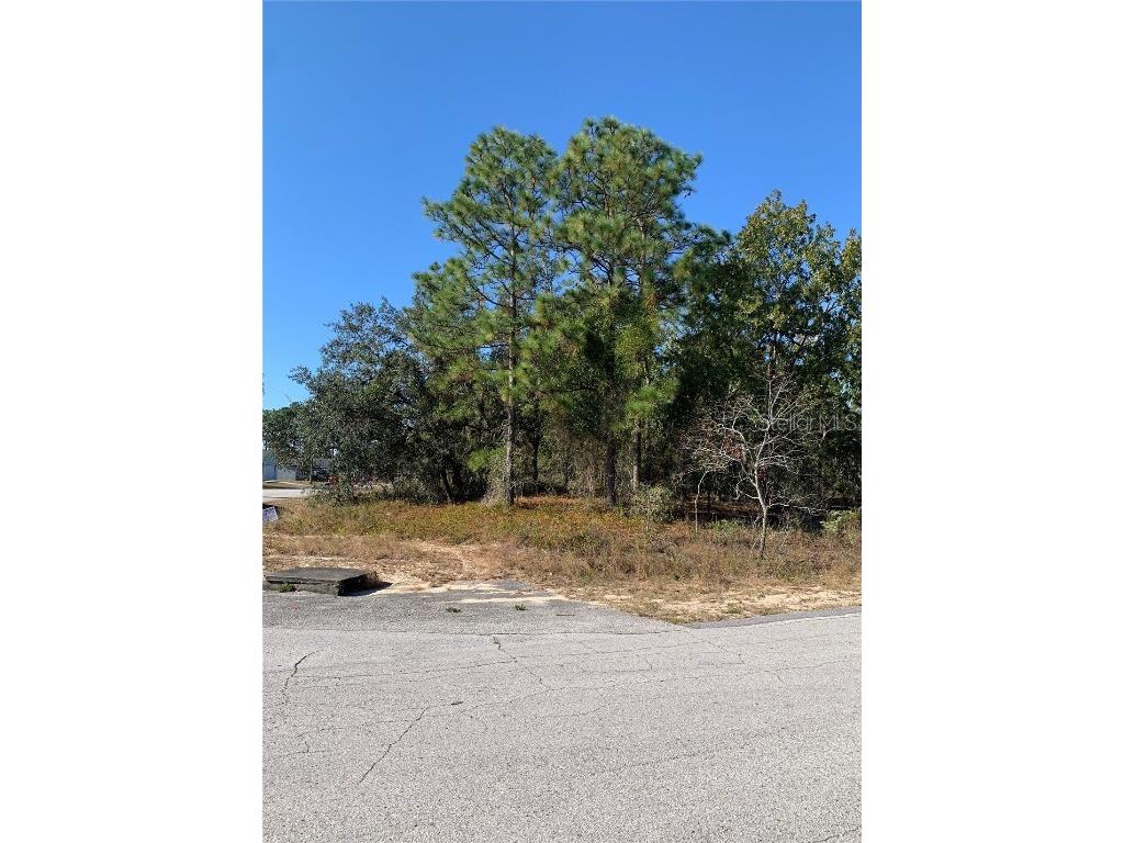 0 Norvell Road, Spring Hill, FL, 34608 MLS W7859502 Edina Realty