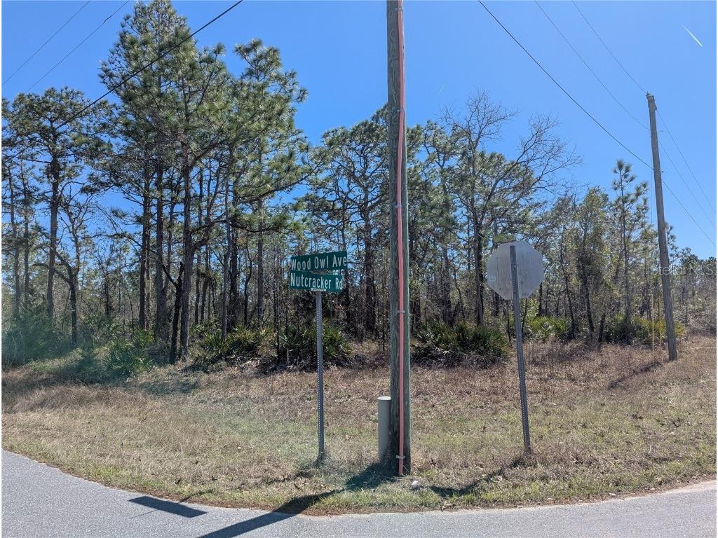 0 Nutcracker Road Weeki Wachee FL 34614 TB8351662 image1