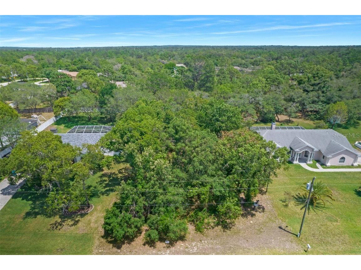 0 Nuzum Road Weeki Wachee FL 34613 W7854610 image1