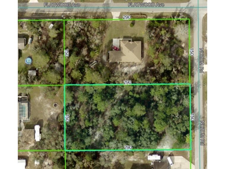 0 Nuzum Road Weeki Wachee FL 34613 TB8422638 image1