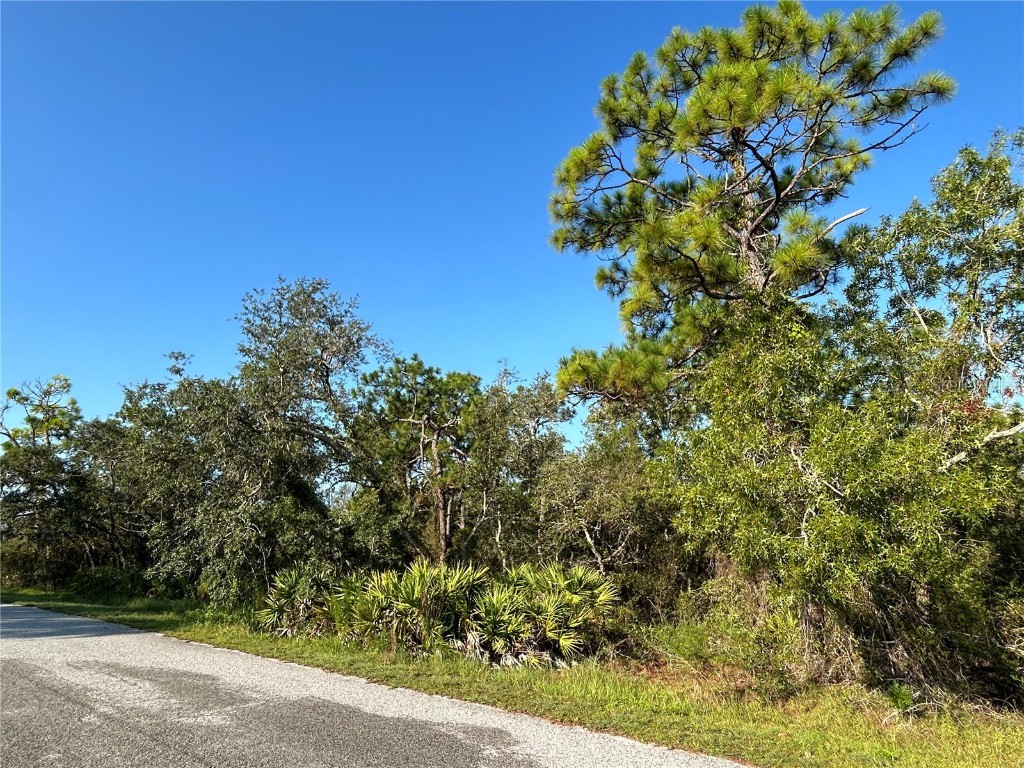 0 Nuzum Road Weeki Wachee FL 34613 TB8422638 image3