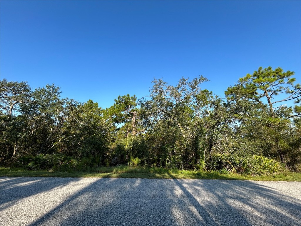 0 Nuzum Road Weeki Wachee FL 34613 TB8422638 image4