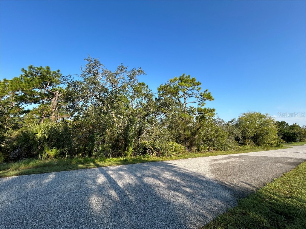 0 Nuzum Road Weeki Wachee FL 34613 TB8422638 image5