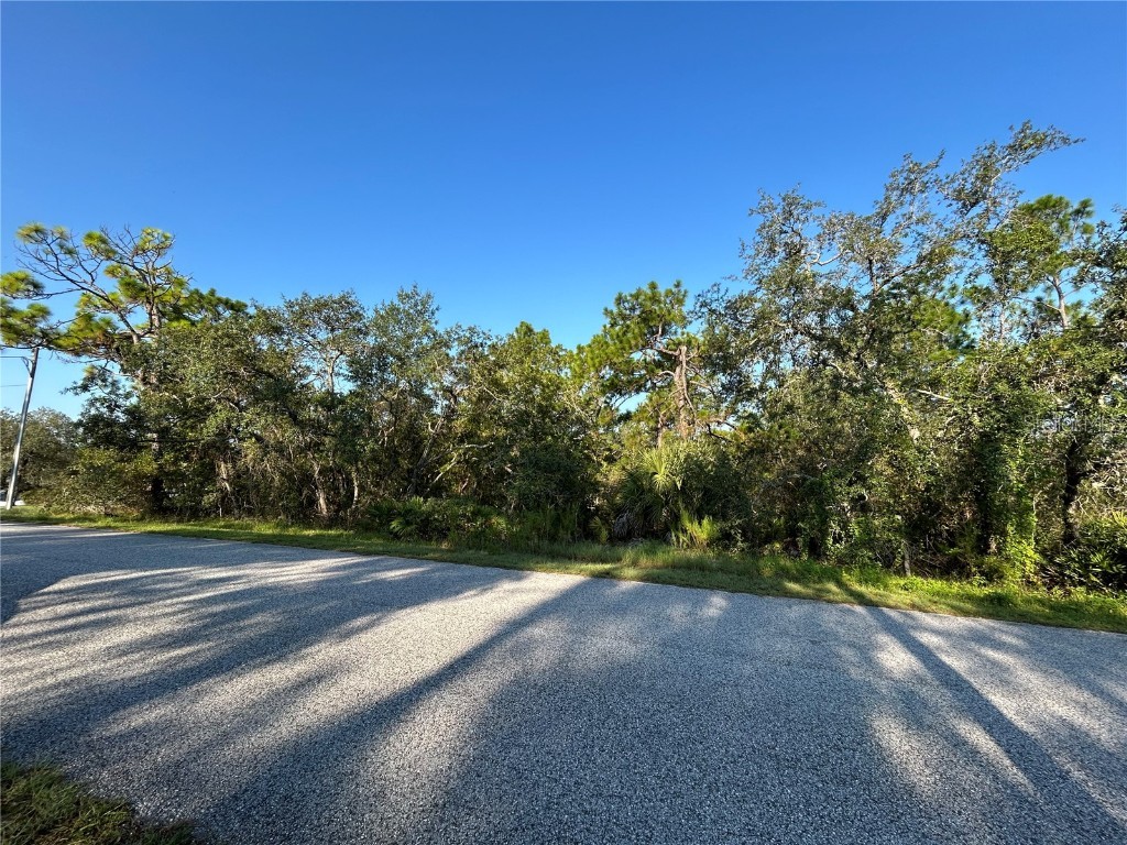0 Nuzum Road Weeki Wachee FL 34613 TB8422638 image6