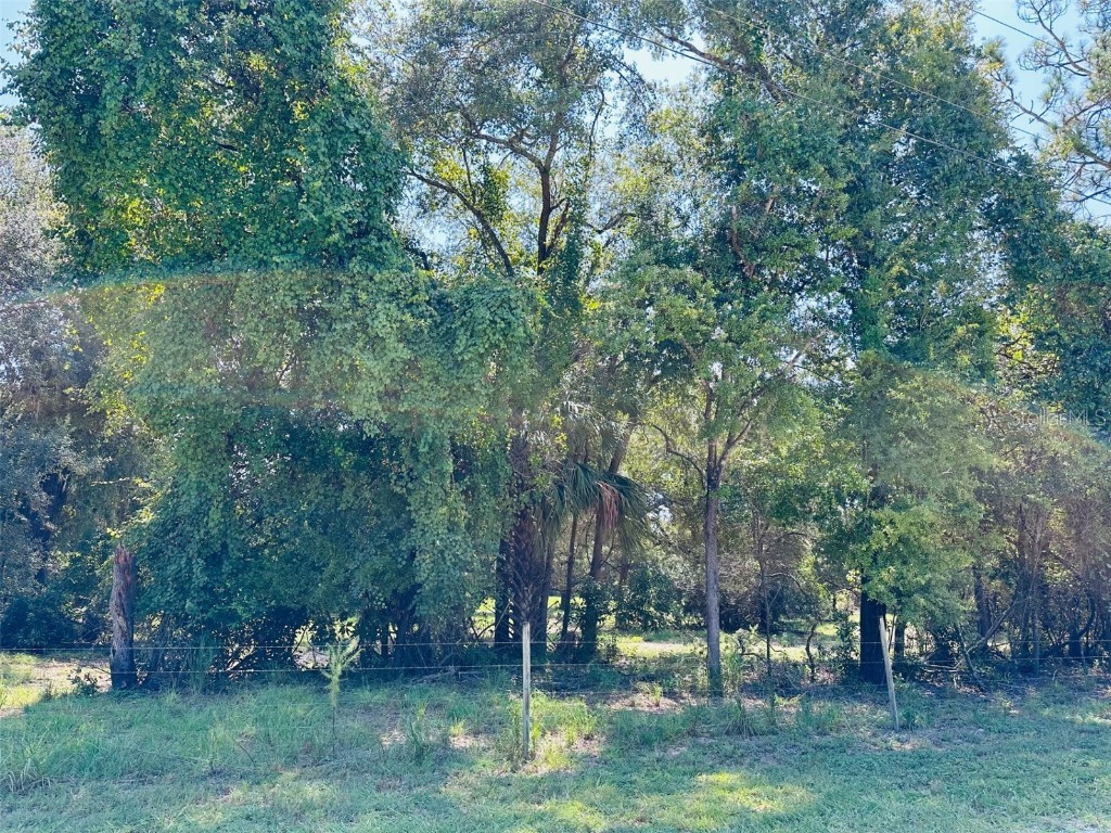 0 NW 100 Avenue Chiefland FL 32626 GC533895 image1