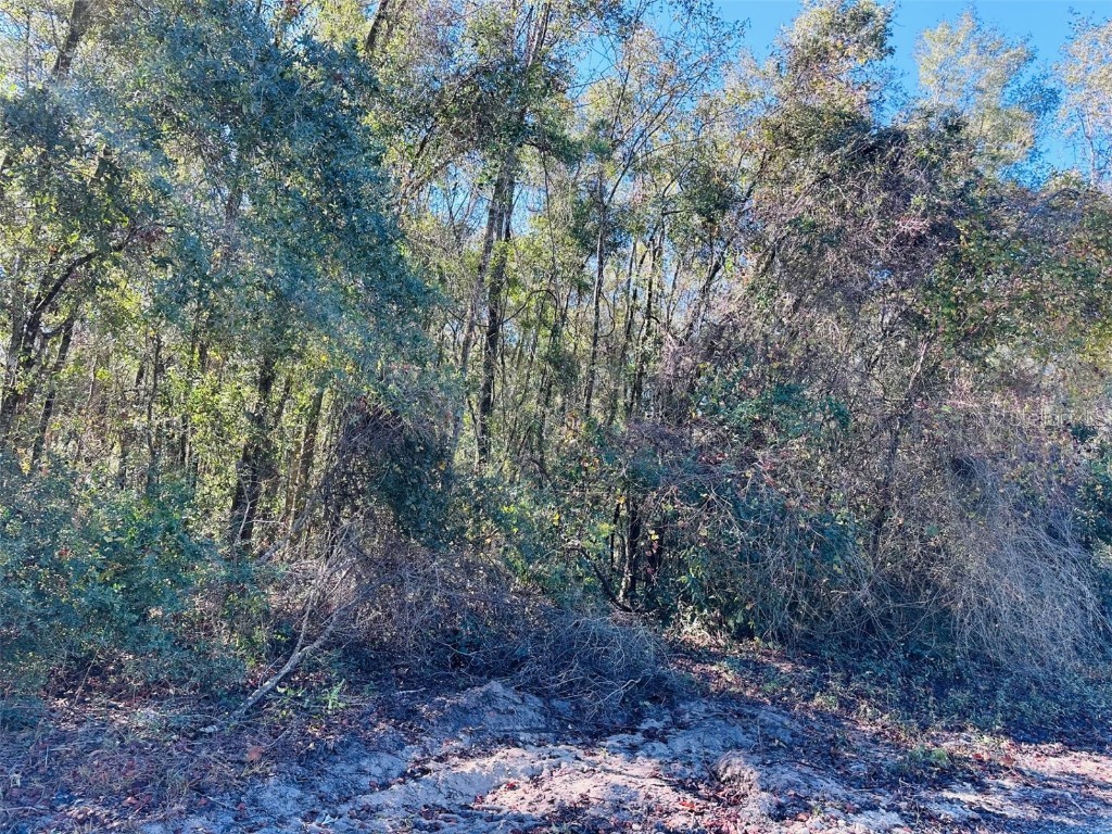 0 NW 110 Street Chiefland FL 32626 GC526501 image1