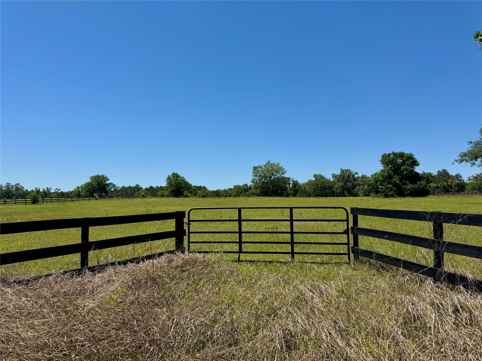 0 NW 115 Avenue Ocala FL 34482 OM720128 image3