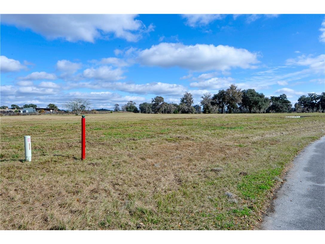 0 NW 115th Avenue Lot 2 Ocala FL 34482 OM612443 image1