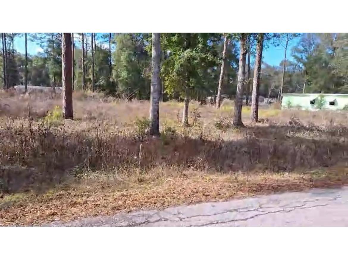 0 Nw 118 Ter Ocala FL 34482 S5122841 image1