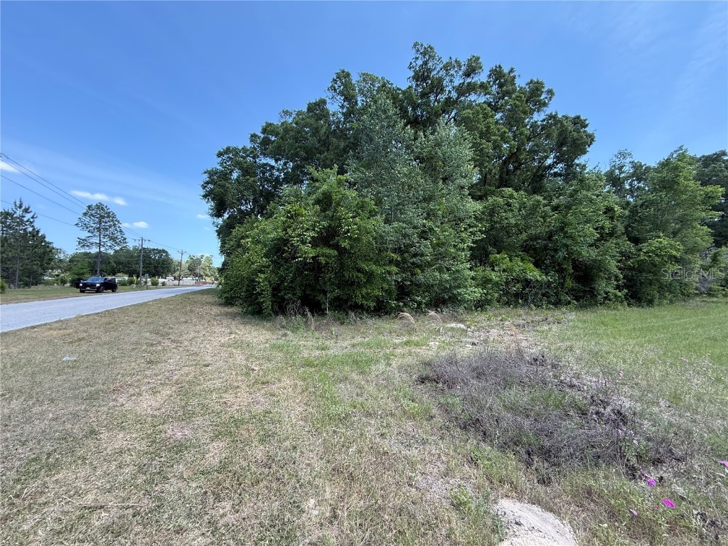 0 NW 11th Avenue Chiefland FL 32626 TB8383958 image1