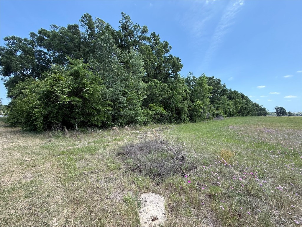 0 NW 11th Avenue Chiefland FL 32626 TB8383958 image3