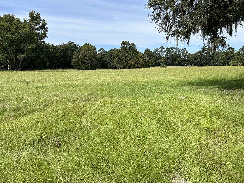 0 NW 125 Avenue Micanopy FL 32667 OM664003 image1