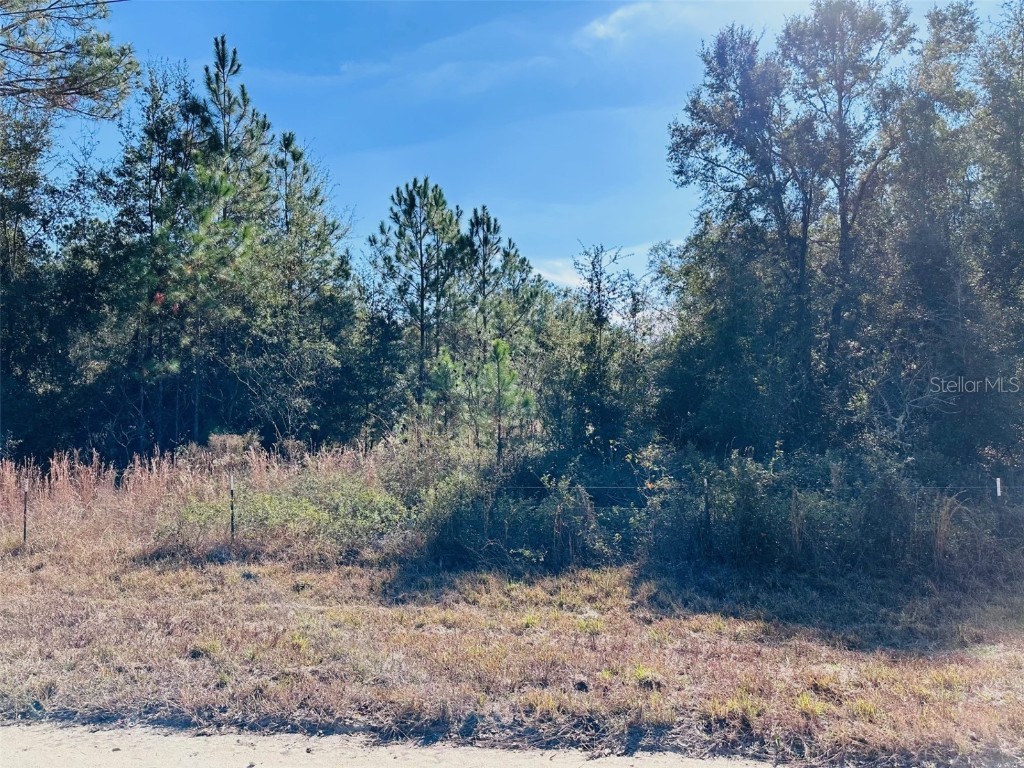 0 NW 126 Street Chiefland FL 32626 GC535823 image1