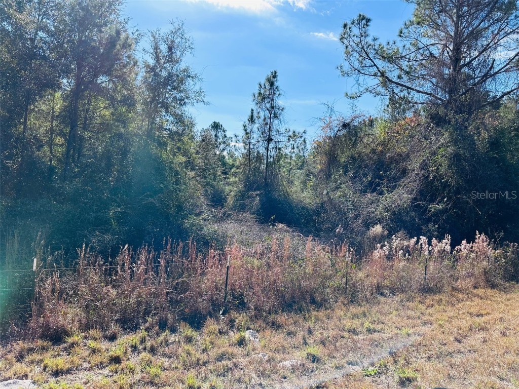 0 NW 126 Street Chiefland FL 32626 GC535823 image10