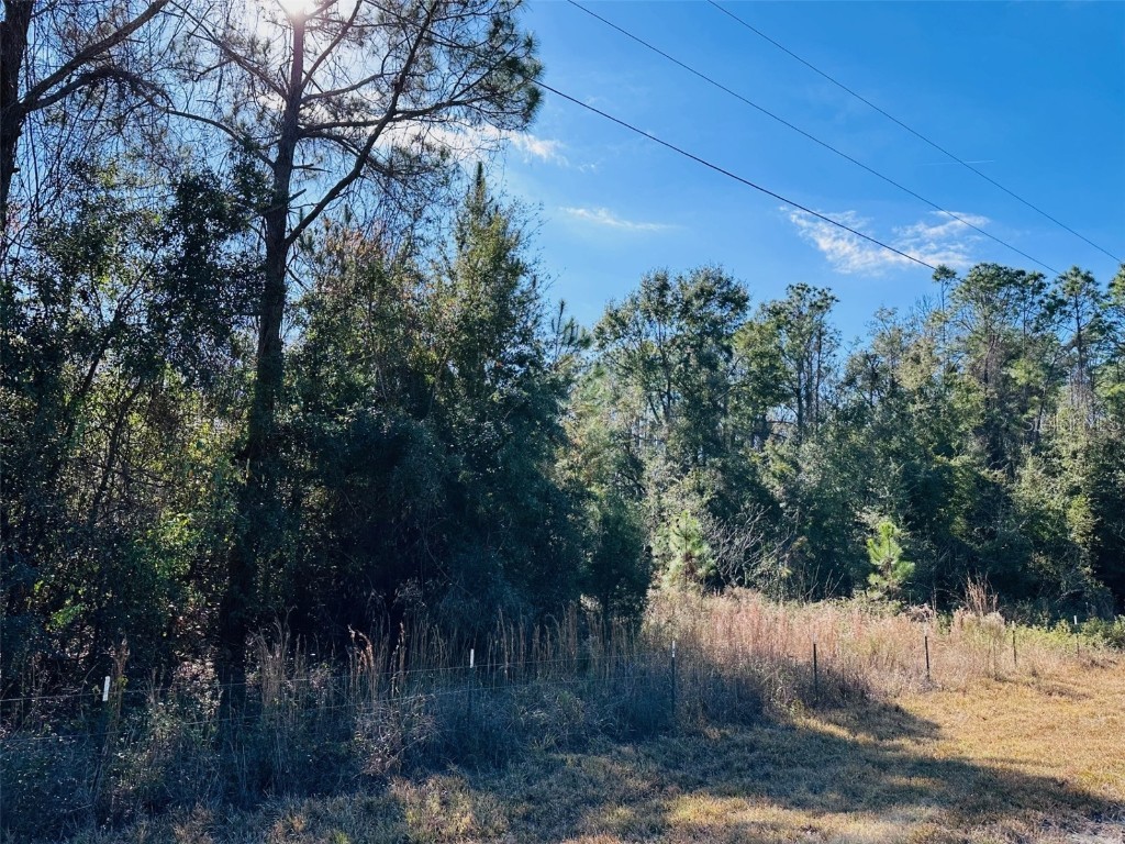 0 NW 126 Street Chiefland FL 32626 GC535823 image12