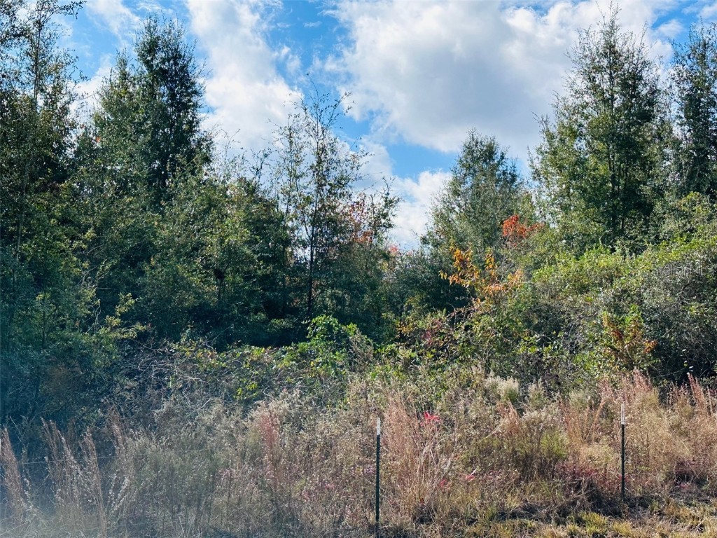 0 NW 126 Street Chiefland FL 32626 GC535823 image2