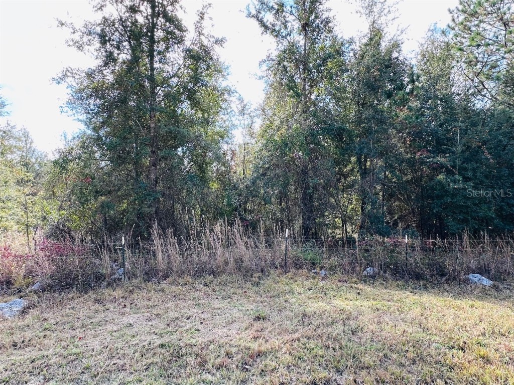 0 NW 126 Street Chiefland FL 32626 GC535823 image3