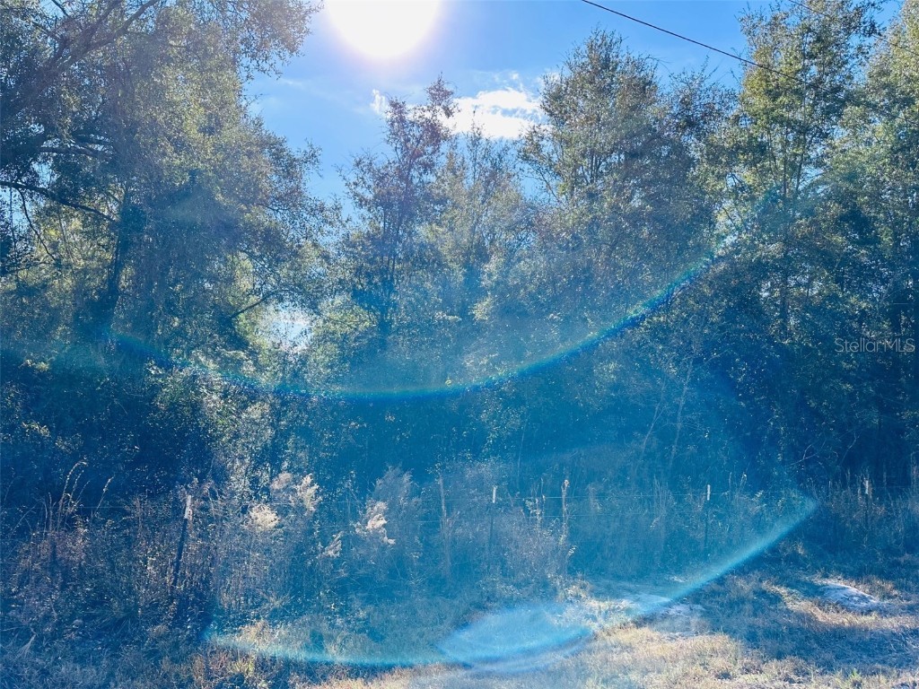 0 NW 126 Street Chiefland FL 32626 GC535823 image4