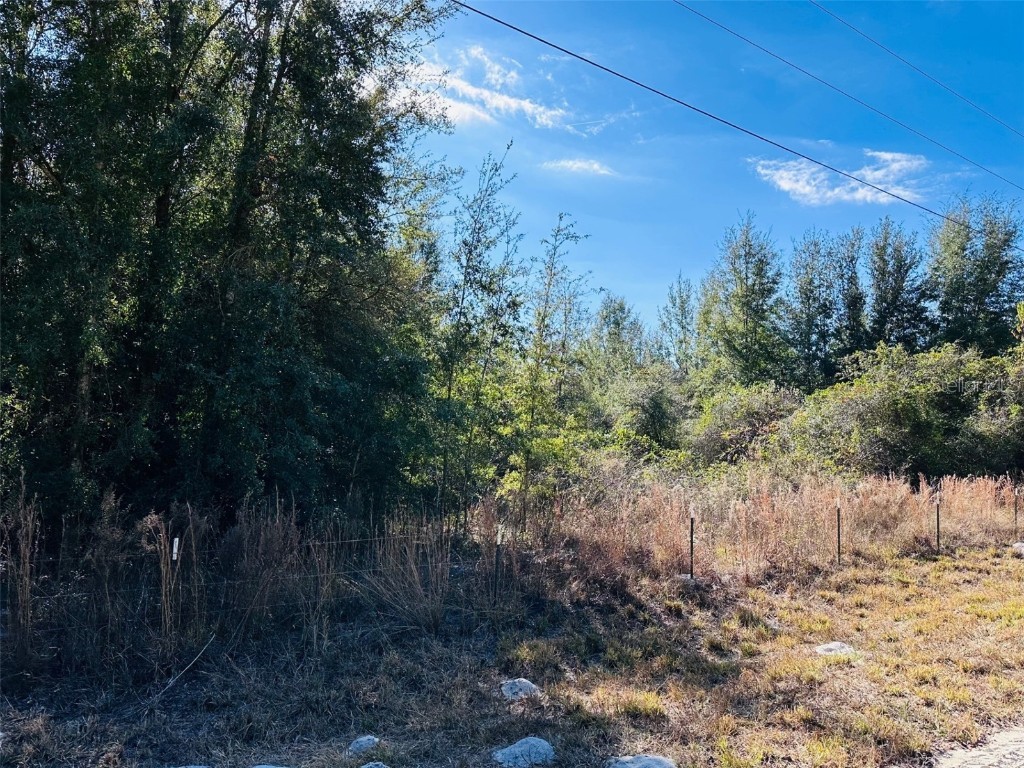 0 NW 126 Street Chiefland FL 32626 GC535823 image5