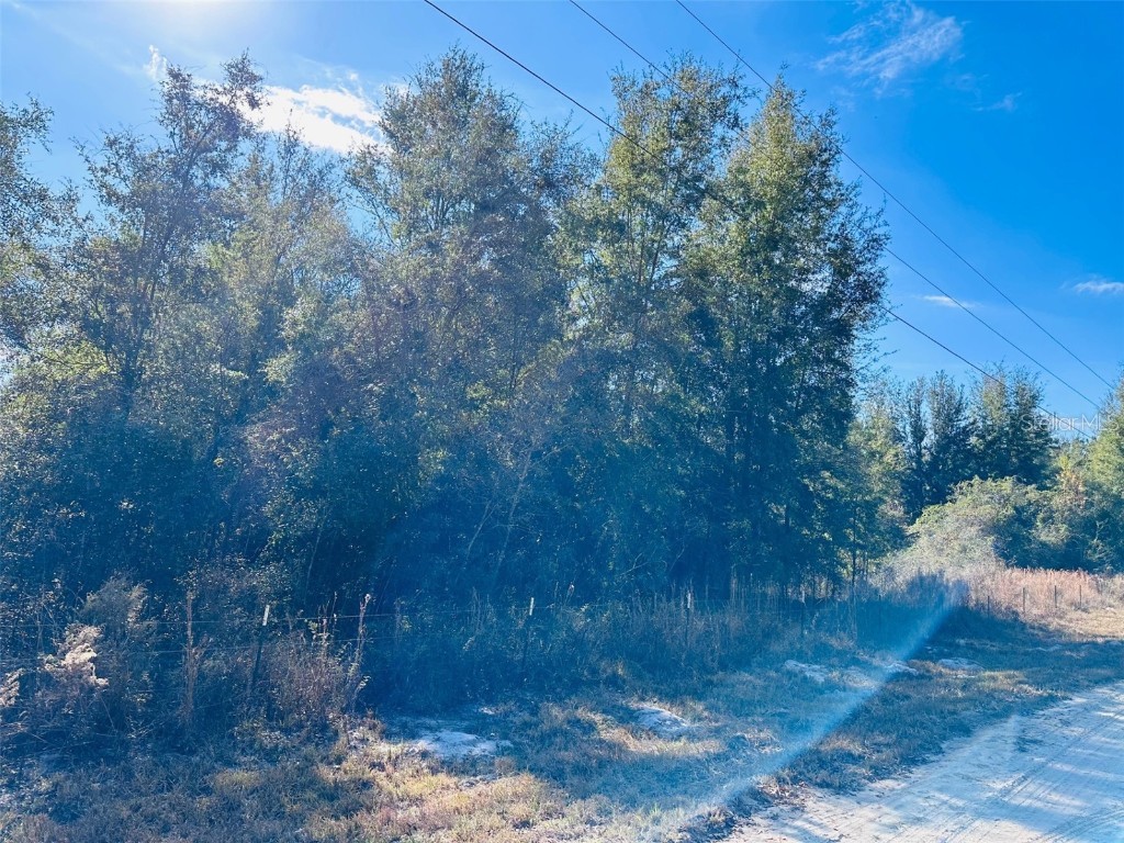 0 NW 126 Street Chiefland FL 32626 GC535823 image6