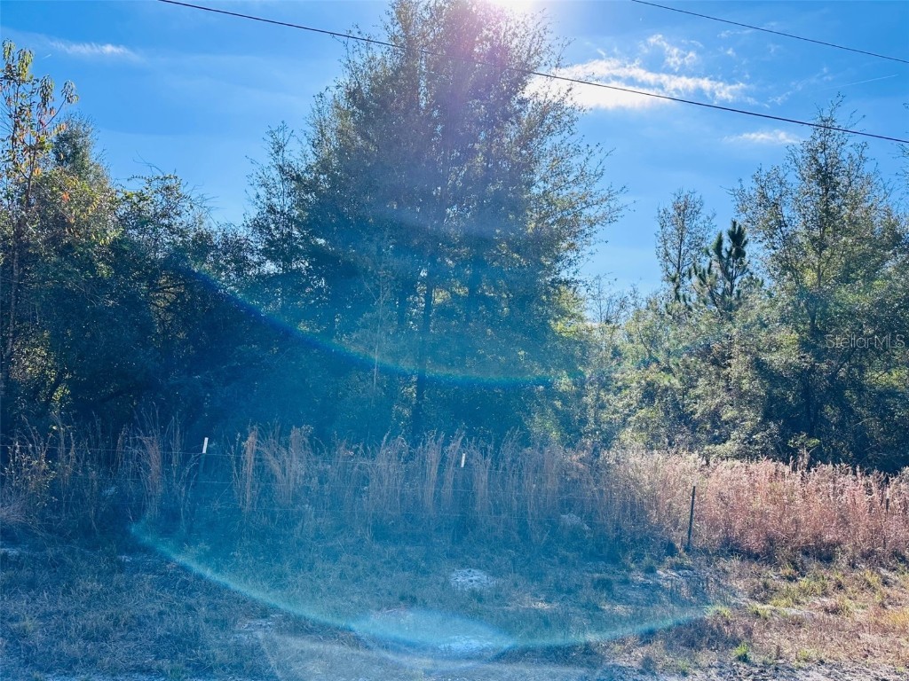 0 NW 126 Street Chiefland FL 32626 GC535823 image7