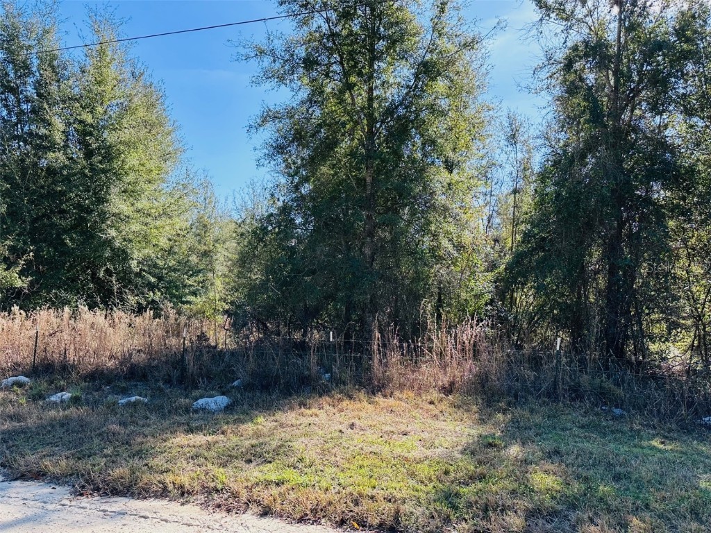 0 NW 126 Street Chiefland FL 32626 GC535823 image8