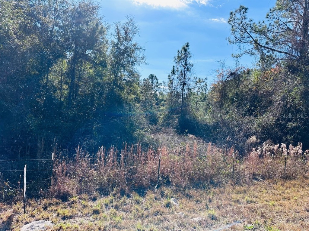 0 NW 126 Street Chiefland FL 32626 GC535823 image9