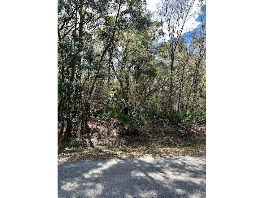 0 Nw 13th Street Lot 5 & 6 Ocala FL 34482 OM695051 image1