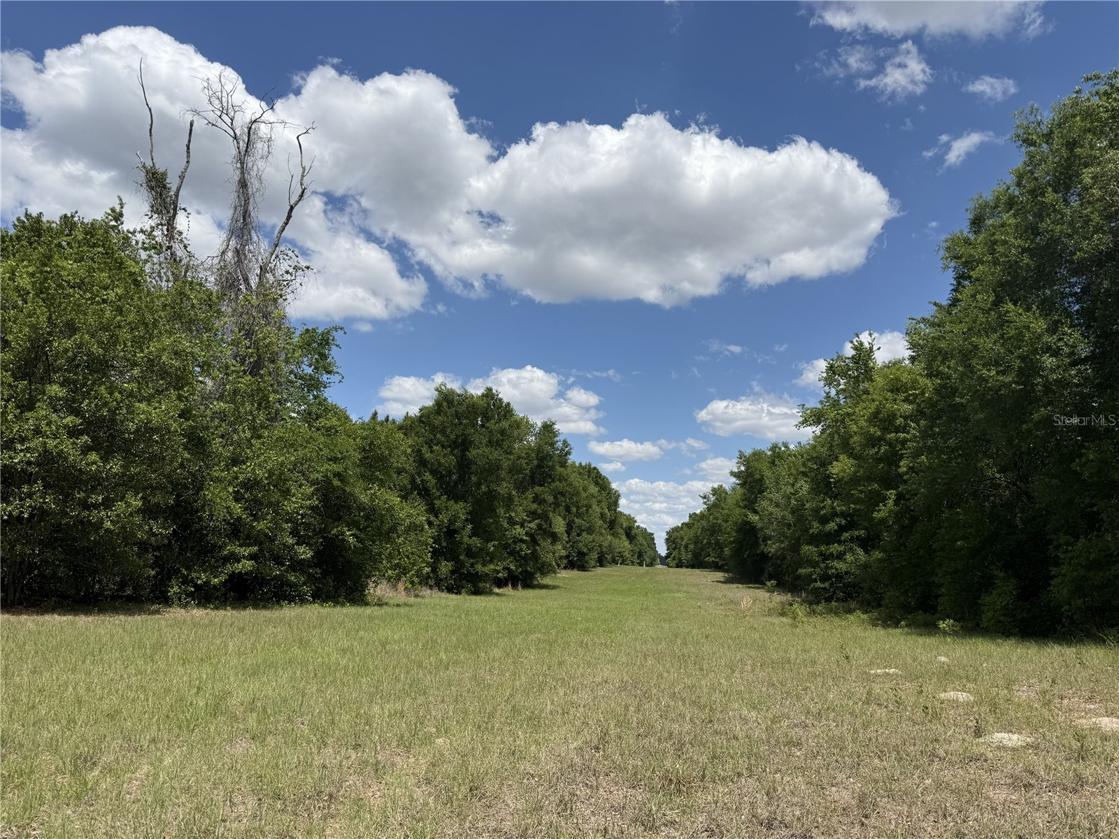 0 NW 140th Street Chiefland FL 32626 GC539708 image1