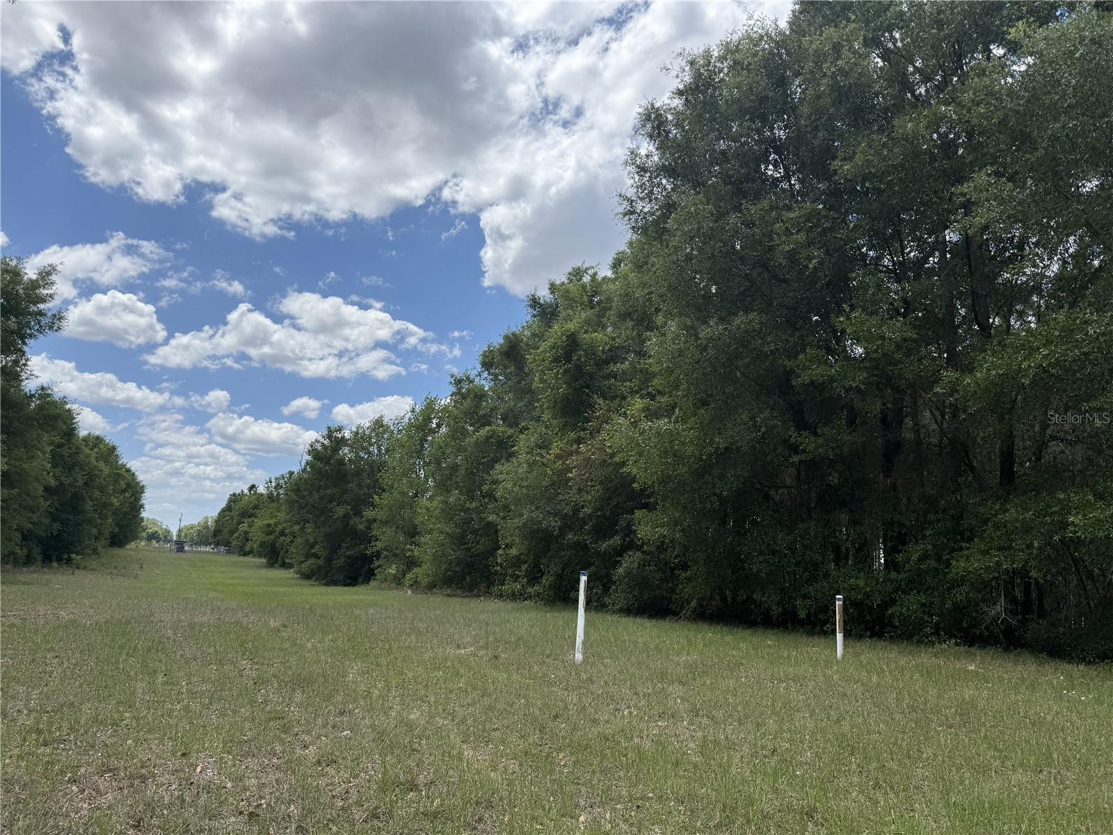0 NW 140th Street Chiefland FL 32626 GC539708 image14