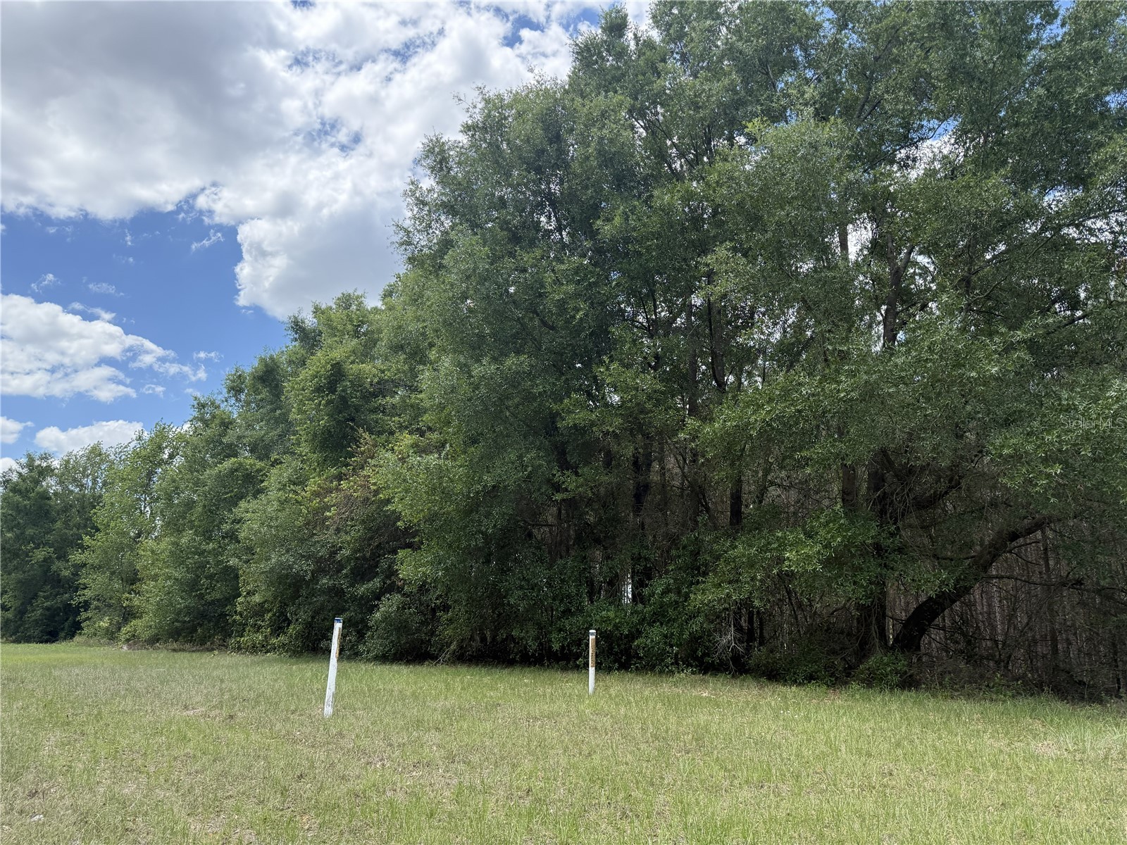 0 NW 140th Street Chiefland FL 32626 GC539708 image15