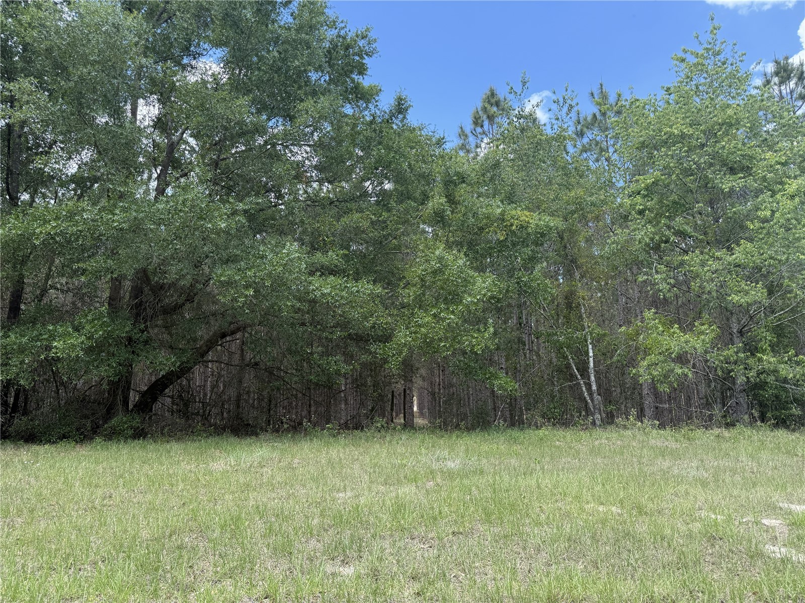 0 NW 140th Street Chiefland FL 32626 GC539708 image16