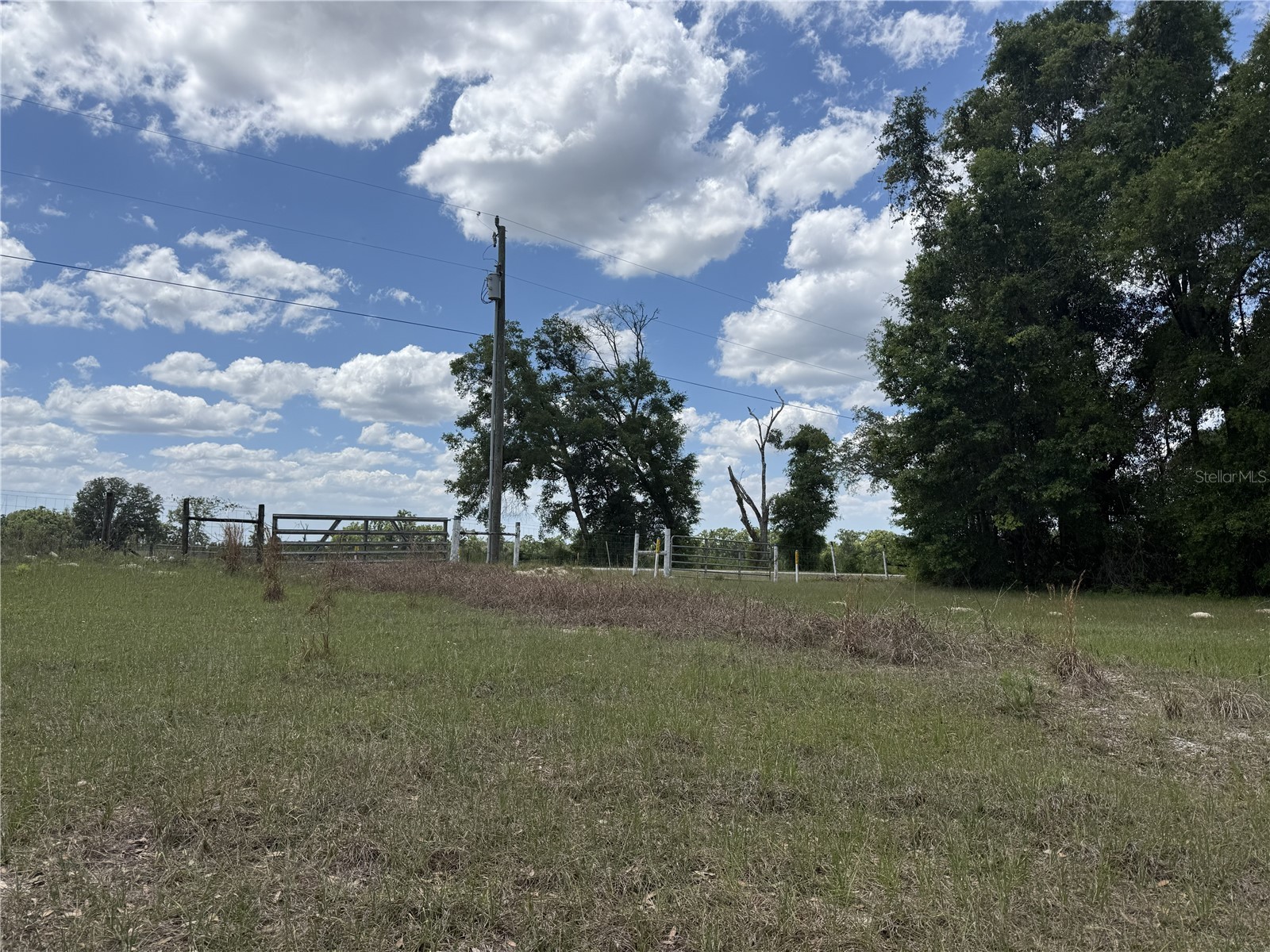 0 NW 140th Street Chiefland FL 32626 GC539708 image19