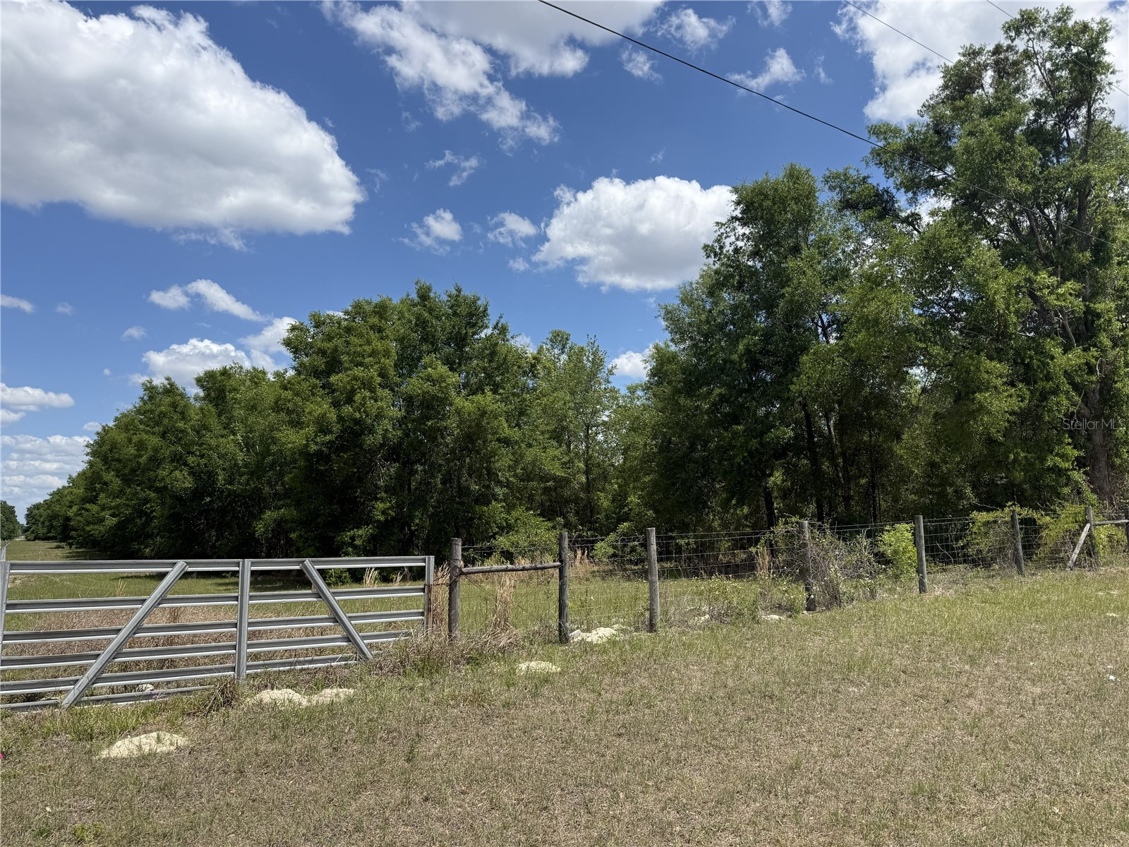 0 NW 140th Street Chiefland FL 32626 GC539708 image2