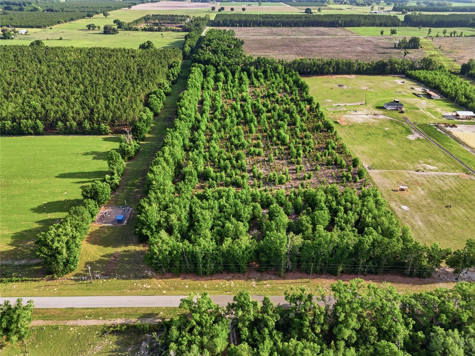 0 NW 140th Street Chiefland FL 32626 GC539708 image24