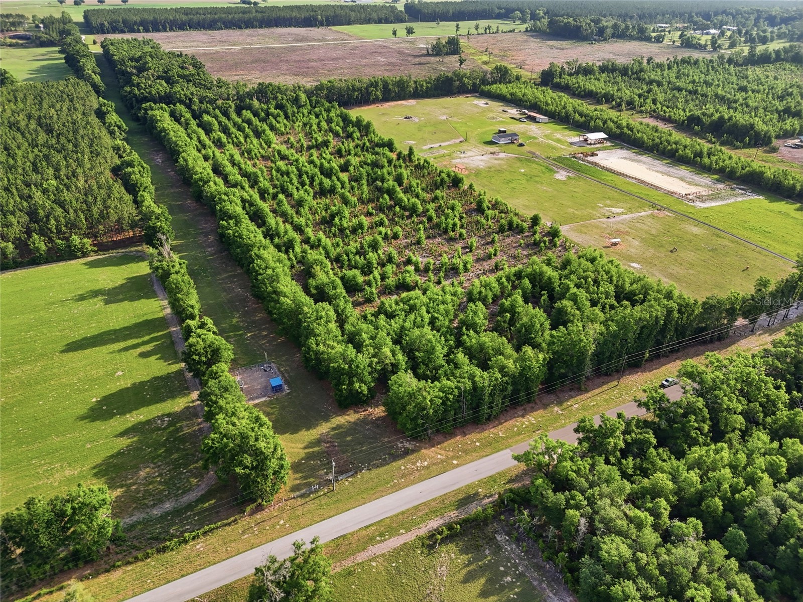 0 NW 140th Street Chiefland FL 32626 GC539708 image26