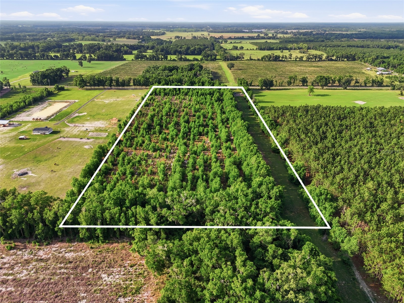 0 NW 140th Street Chiefland FL 32626 GC539708 image29