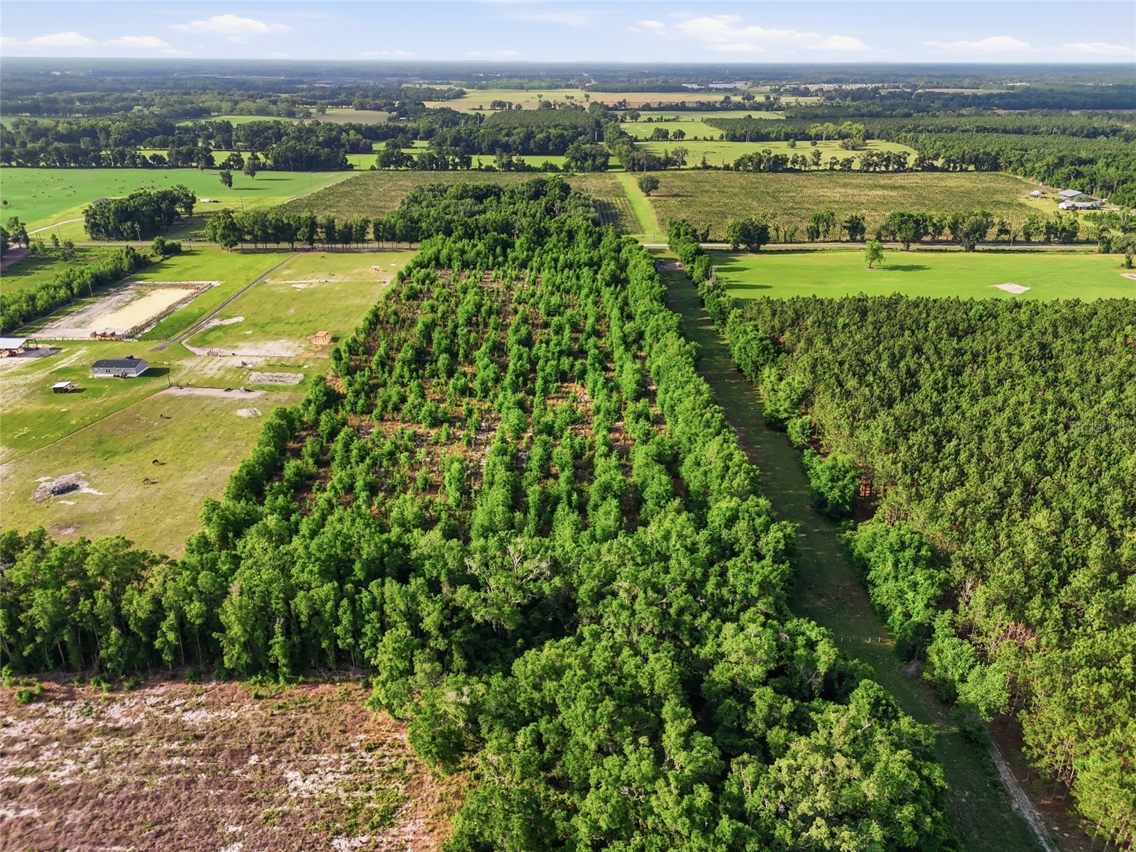 0 NW 140th Street Chiefland FL 32626 GC539708 image30