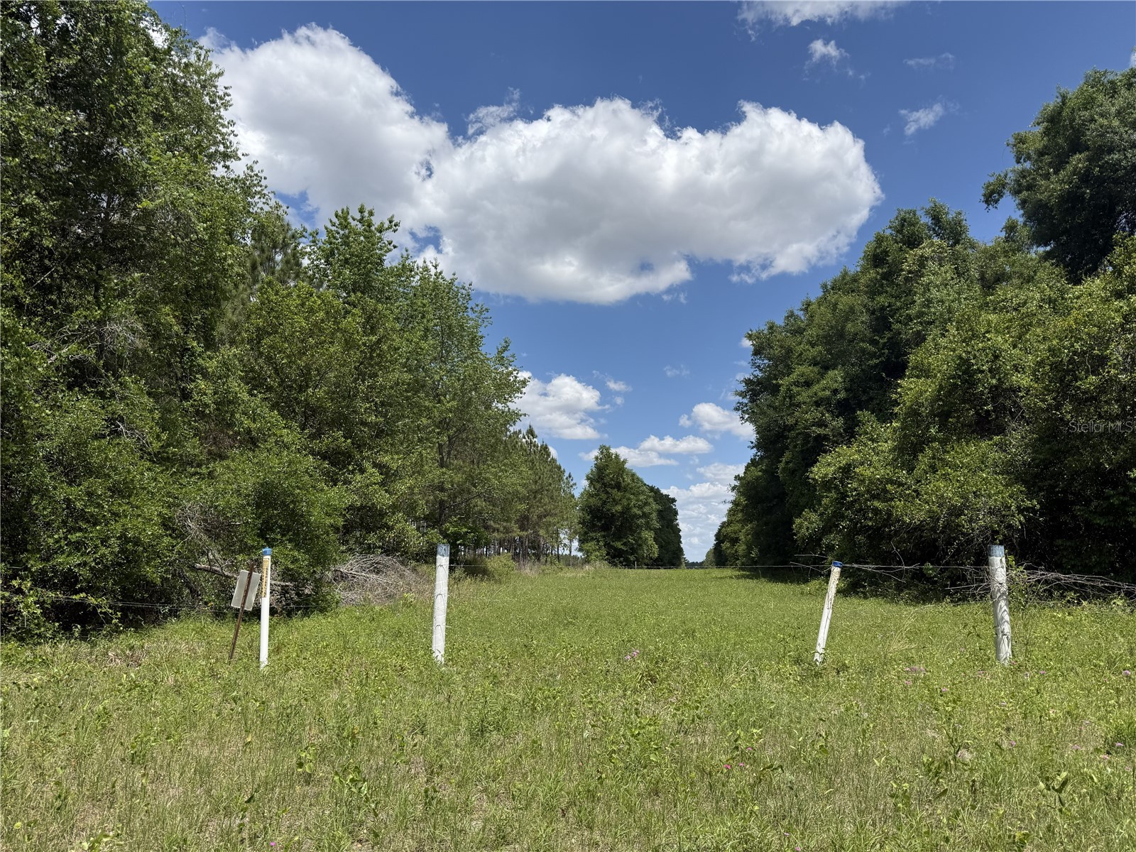 0 NW 140th Street Chiefland FL 32626 GC539708 image6