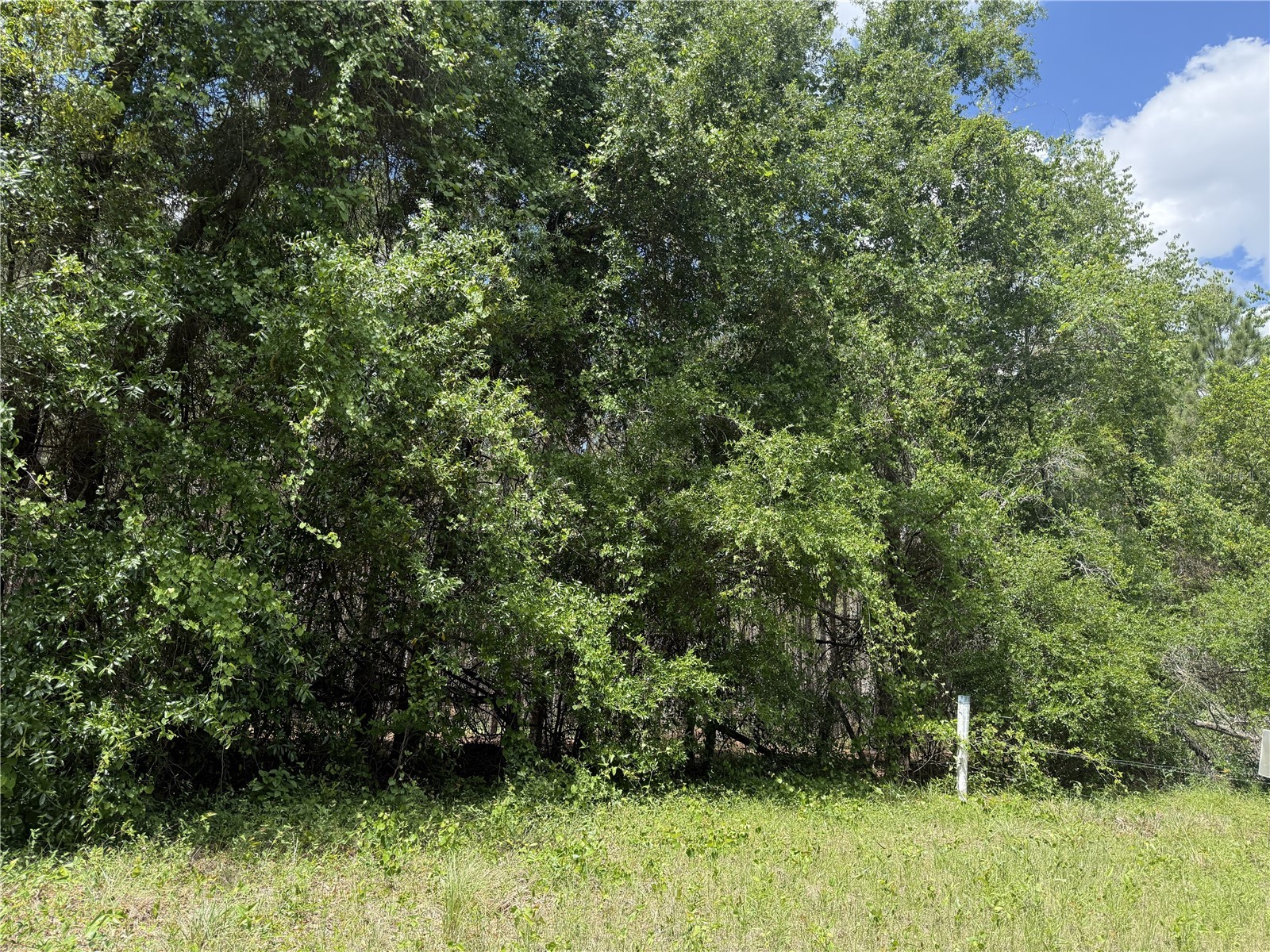 0 NW 140th Street Chiefland FL 32626 GC539708 image7