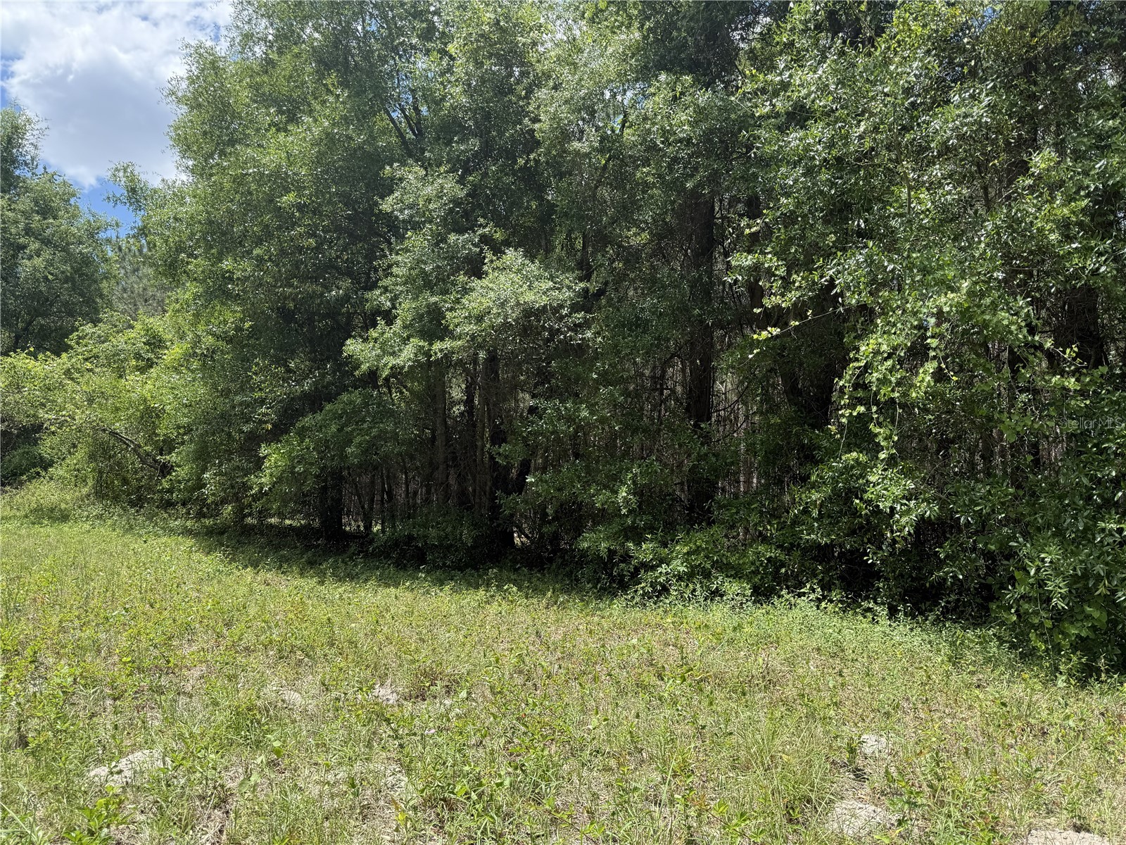 0 NW 140th Street Chiefland FL 32626 GC539708 image8