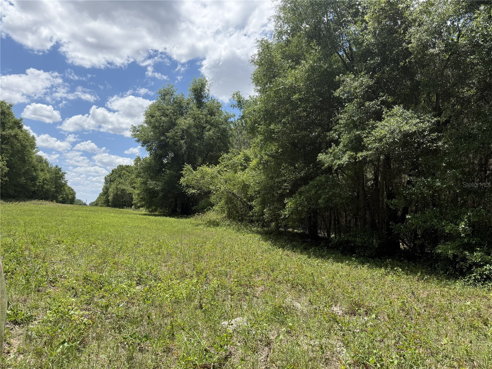 0 NW 140th Street Chiefland FL 32626 GC539708 image9