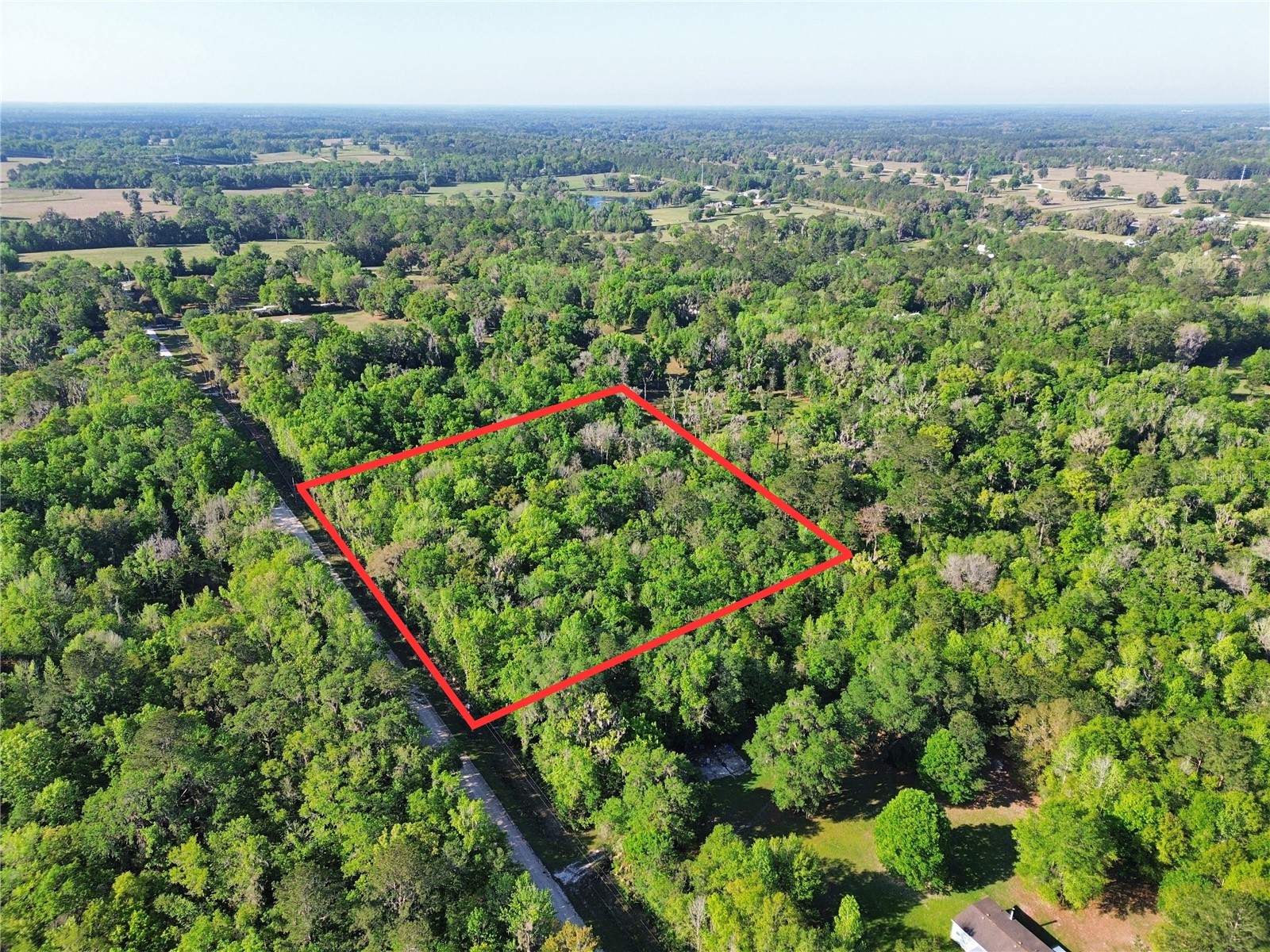 0 Nw 144th Avenue Williston FL 32696 OM721663 image1