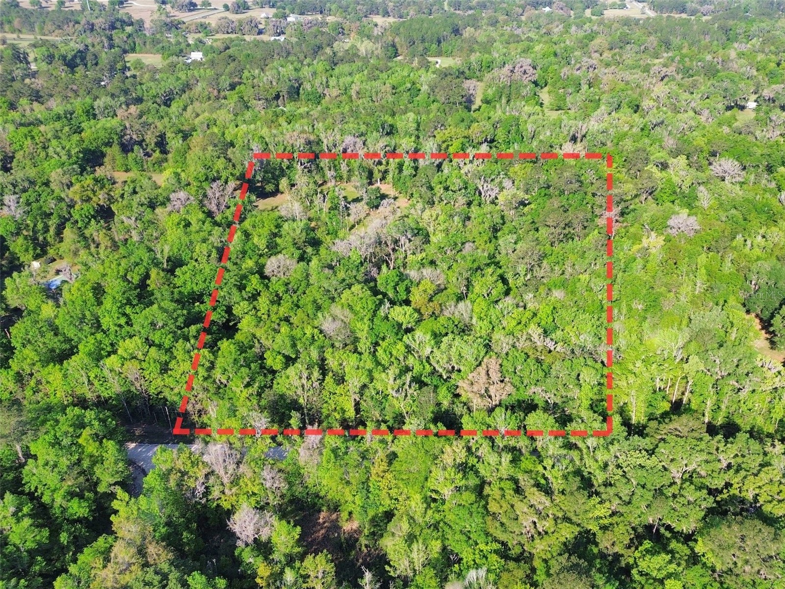 0 Nw 144th Avenue Williston FL 32696 OM721663 image2