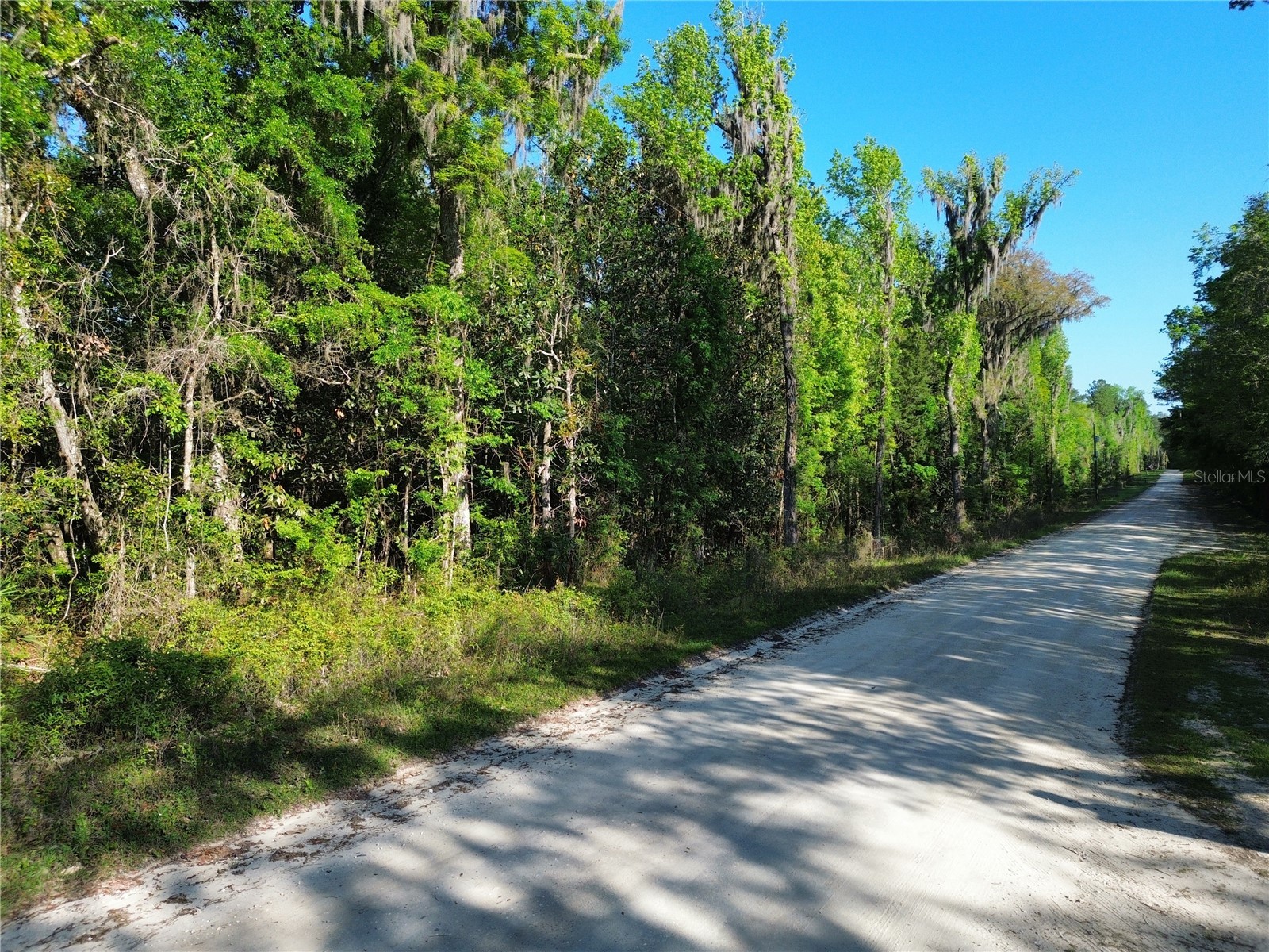 0 Nw 144th Avenue Williston FL 32696 OM721663 image3