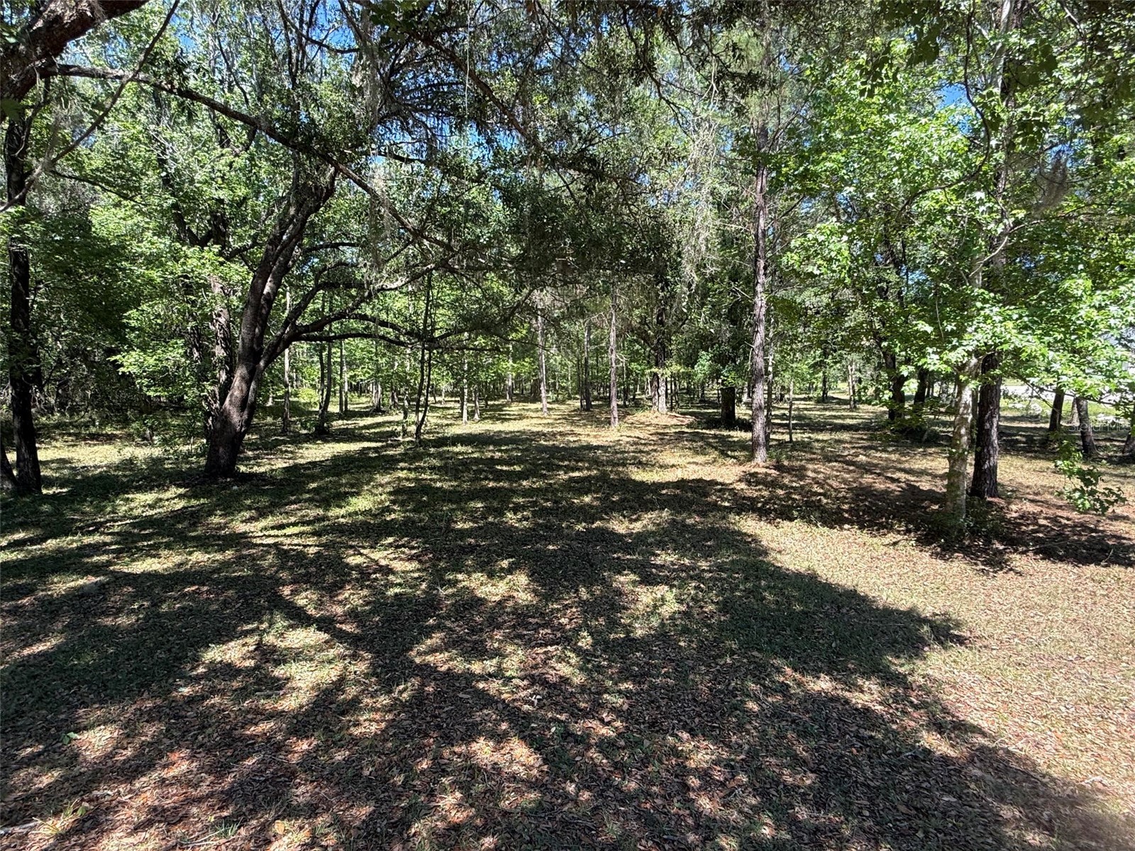 0 NW 145 Avenue Williston FL 32696 OM724103 image1