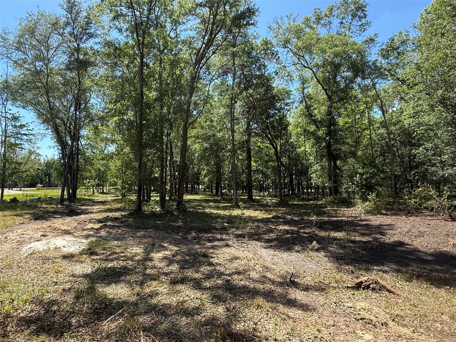 0 NW 145 Avenue Williston FL 32696 OM724103 image3