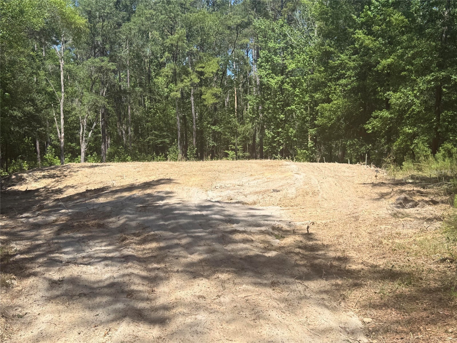 0 NW 145 Avenue Williston FL 32696 OM724103 image4