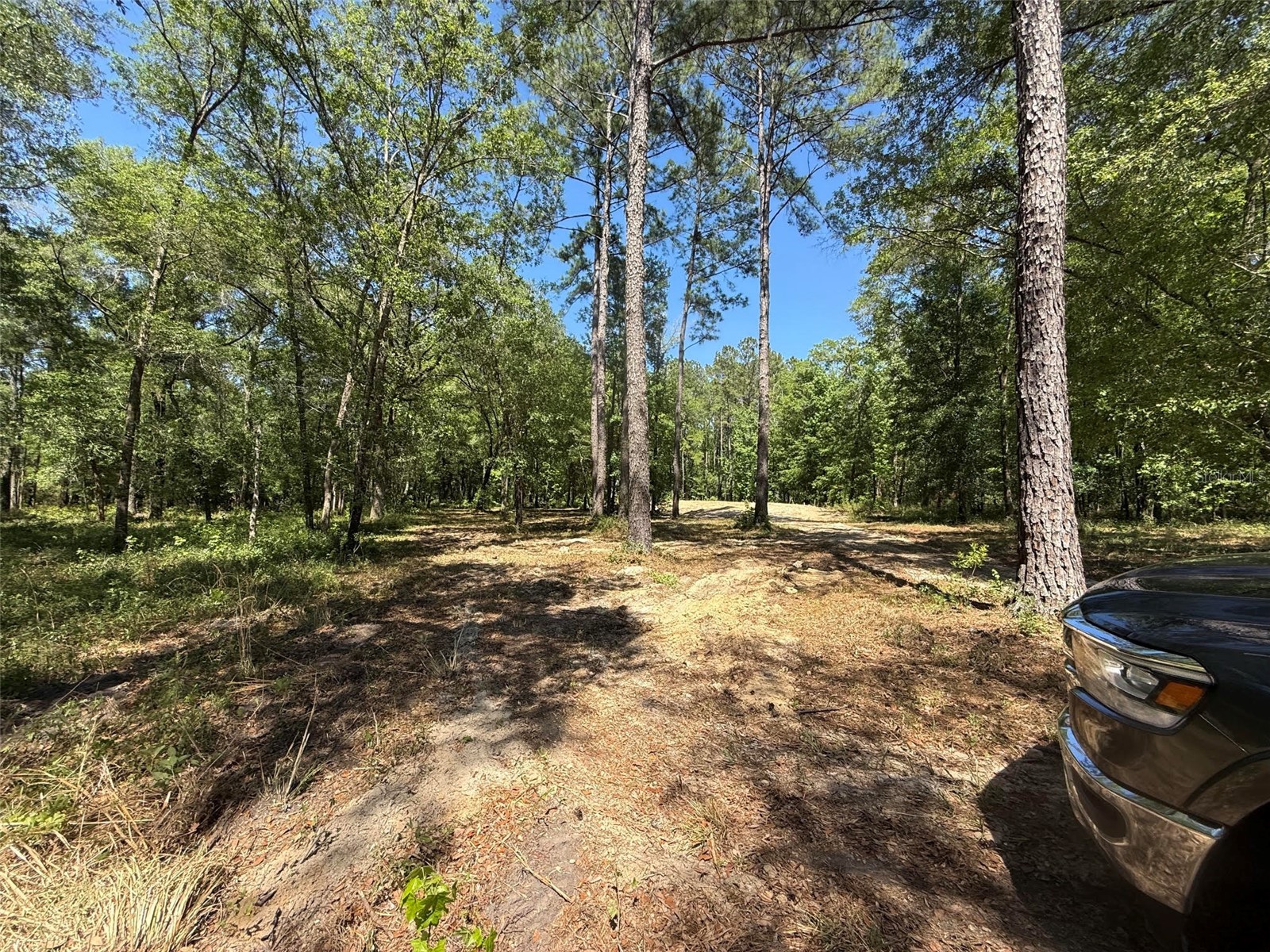 0 NW 145 Avenue Williston FL 32696 OM724103 image5