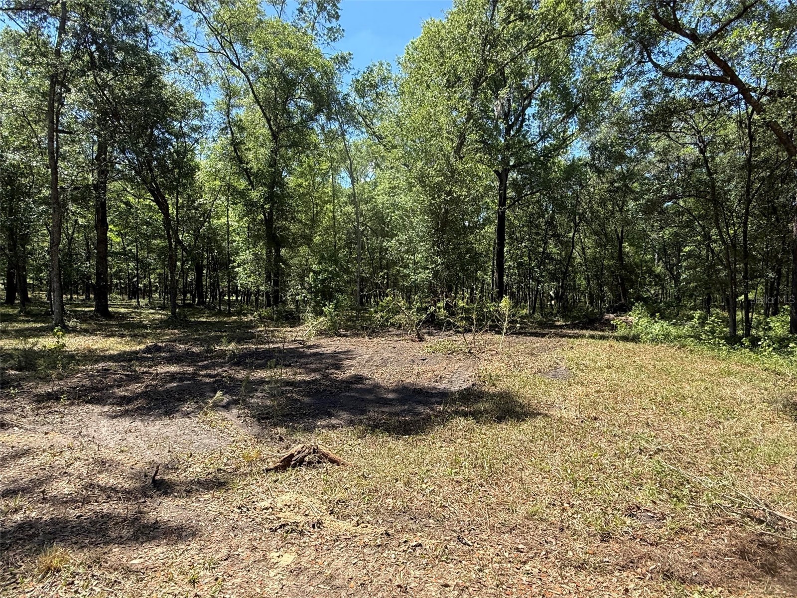 0 NW 145 Avenue Williston FL 32696 OM724103 image6